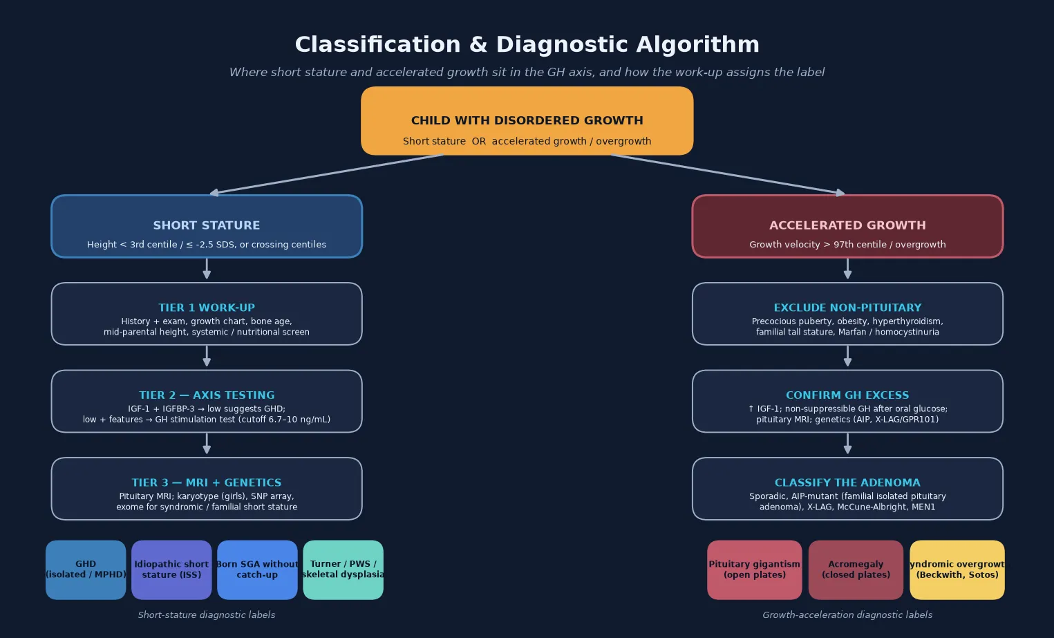 A diagnostic algorithm starting from the child with disordered growth and splitting into a short-stature arm and an accelerated-growth arm, each descending through three tiers of work-up — systemic and axis screening, stimulation or suppression testing, then imaging and genetics — ending in labelled diagnostic outputs of growth hormone deficiency, idiopathic short stature, small-for-gestational-age, Turner and syndromic short stature on the left, and pituitary gigantism, acromegaly and syndromic overgrowth on the right