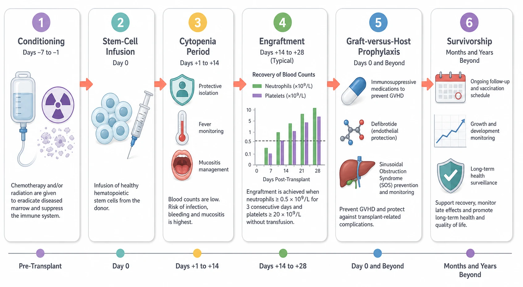 A clean medical education timeline on a white background running left to right across six rounded boxes joined by coral arrows. The first box shows the conditioning with an intravenous bag icon and a radiation symbol clearing the diseased marrow. The second shows the stem-cell infusion on day zero with a pale blue stem-cell icon and a syringe. The third shows the cytopenia period with a protective isolation icon, a thermometer for fever and a mucosal shield for mucositis. The fourth shows the engraftment with a rising bar chart of neutrophils and platelets reaching the threshold line. The fifth shows the graft-versus-host prophylaxis with a calcineurin inhibitor capsule and a post-transplantation cyclophosphamide molecule, and a defibrotide molecule for the sinusoidal obstruction syndrome. The sixth shows the survivorship with a calendar, a growth chart and a shield for the long-term surveillance. Soft shadows, clear sans-serif labels in dark grey.