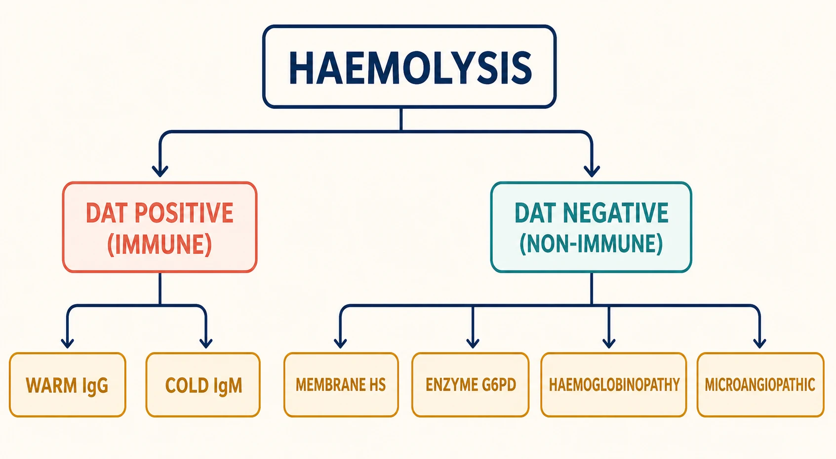 Classification flowchart dividing haemolysis by direct antiglobulin test result into DAT-positive immune causes (warm IgG and cold IgM) and DAT-negative non-immune causes (membrane defects such as hereditary spherocytosis, enzyme defects such as G6PD deficiency, haemoglobinopathies such as sickle cell disease and thalassaemia, and microangiopathic haemolysis).