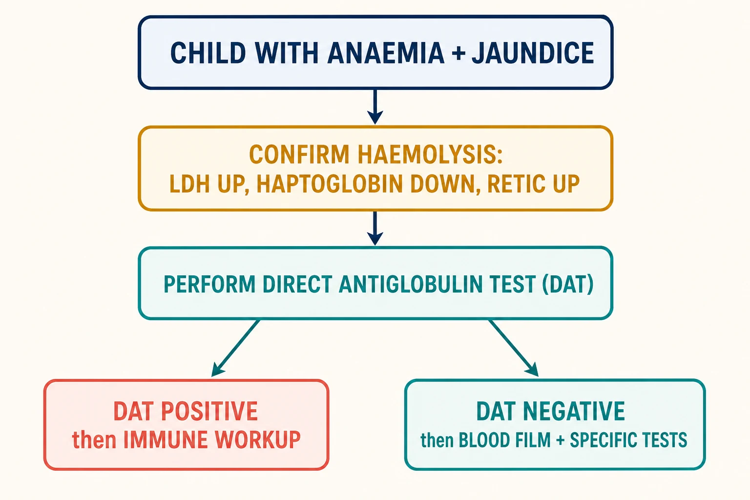 Stepwise diagnostic algorithm beginning with a child with anaemia and jaundice, confirming haemolysis with lactate dehydrogenase, haptoglobin and reticulocytes, then performing the direct antiglobulin test, which splits to a positive immune workup on one side and a negative blood-film and confirmatory-test workup on the other.