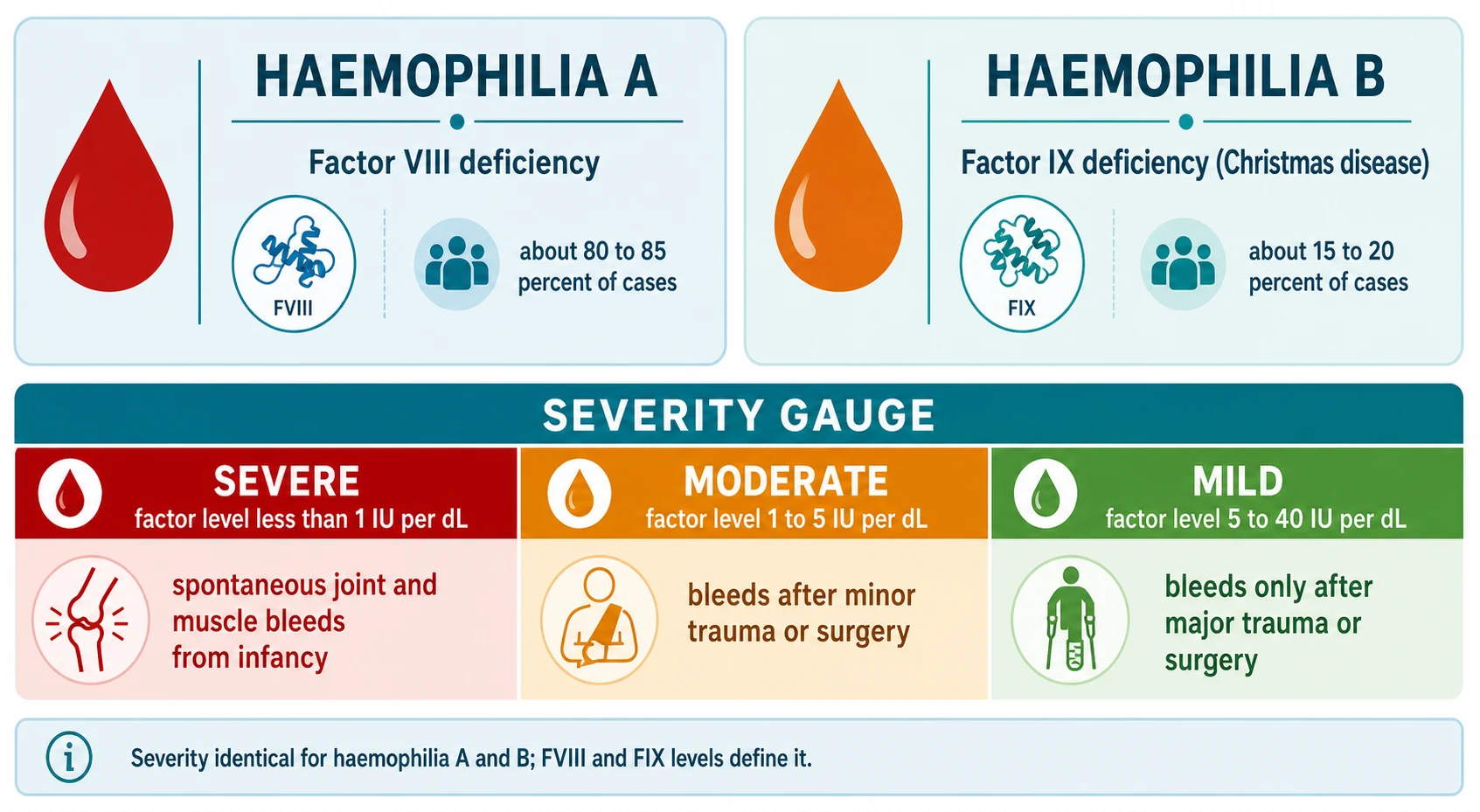 Educational classification infographic splitting haemophilia into a factor VIII panel (haemophilia A, about 80 to 85 percent) and a factor IX panel (haemophilia B, Christmas disease, 15 to 20 percent), over a three-band severity gauge reading severe under 1 percent, moderate 1 to 5 percent, and mild over 5 to 40 percent
