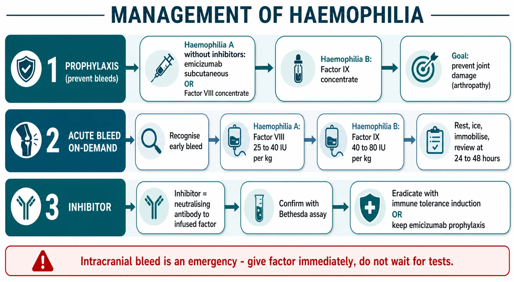 Educational management flowchart for haemophilia A and B with three lanes: prophylaxis with factor concentrate or subcutaneous emicizumab, acute on-demand bleed treatment with factor VIII 25 to 40 IU per kg or factor IX 40 to 80 IU per kg, and the inhibitor pathway with the Bethesda assay, immune tolerance induction and emicizumab