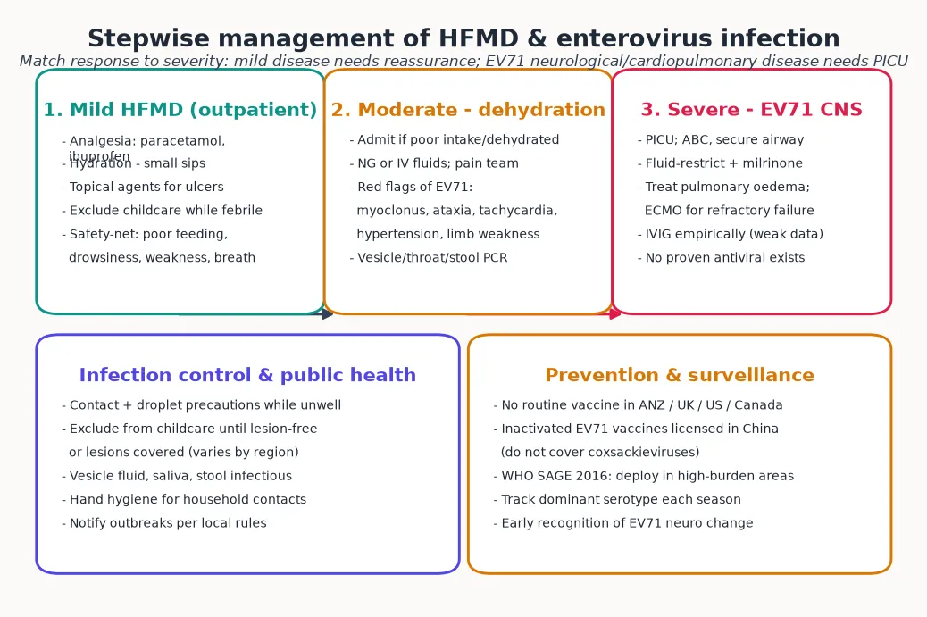 Three-column stepwise management pathway: mild HFMD (outpatient analgesia, hydration, exclusion, safety-netting); moderate disease with dehydration or EV71 red flags (admit, fluids, PCR, observe); severe EV71 CNS or cardiopulmonary disease (PICU, airway, fluid restriction, milrinone, ECMO); with infection-control and prevention footers