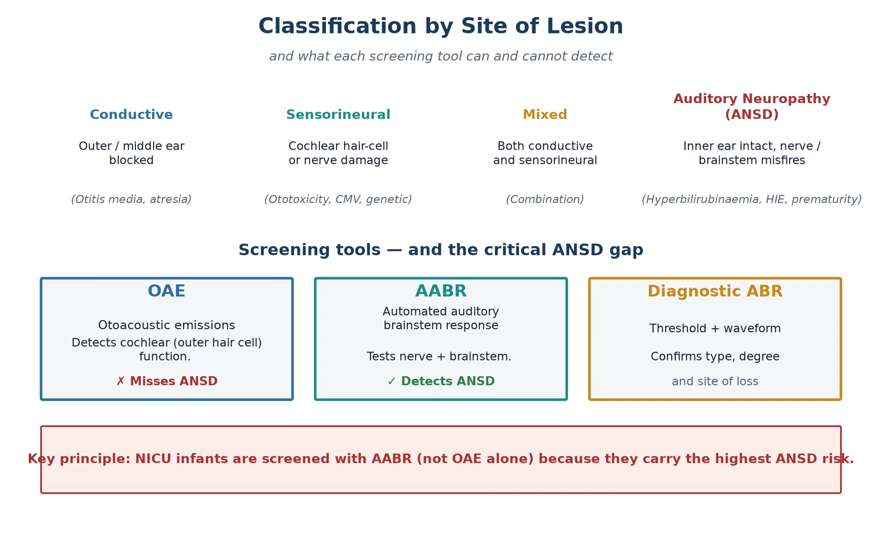 Classification of hearing loss into conductive, sensorineural, mixed and auditory neuropathy, alongside the screening tools OAE, AABR and diagnostic ABR