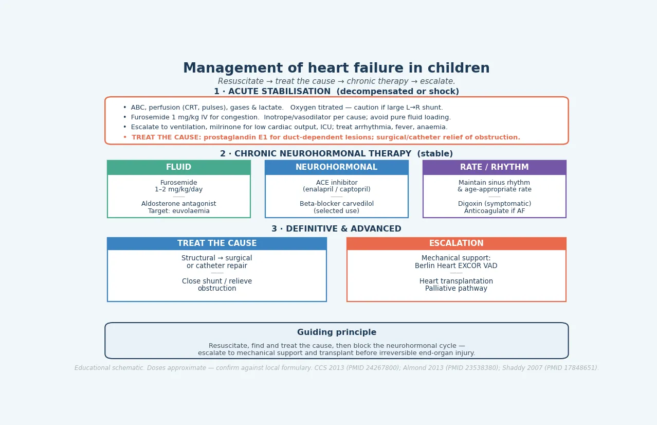Management algorithm for paediatric heart failure with three lanes: acute stabilisation with ABC, titrated oxygen, diuretic and inotrope; chronic neurohormonal therapy with diuretic, ACE inhibitor and beta-blocker; and definitive treatment of the cause with escalation to Berlin Heart EXCOR mechanical support and heart transplantation