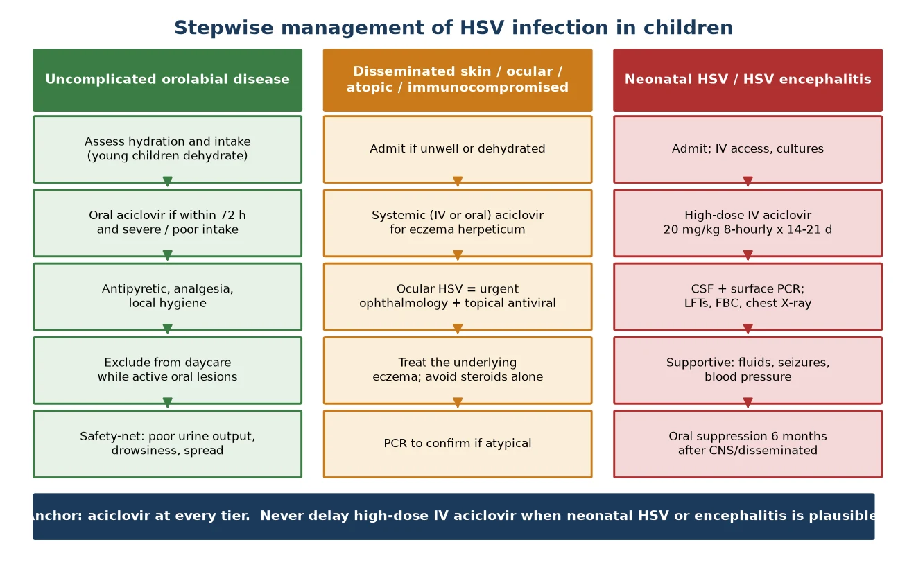 Three-column stepwise management pathway: uncomplicated orolabial disease (assess hydration, oral aciclovir within 72 hours if severe, analgesia and hygiene, exclude from daycare, safety-net); disseminated skin and ocular and immunocompromised (admit, systemic aciclovir for eczema herpeticum, urgent ophthalmology and topical antiviral for ocular HSV, treat the underlying eczema); and neonatal HSV and encephalitis (admit, high-dose IV aciclovir 20 mg/kg 8-hourly for 14-21 days, CSF and surface PCR, supportive care, oral suppression for 6 months after CNS or disseminated disease)
