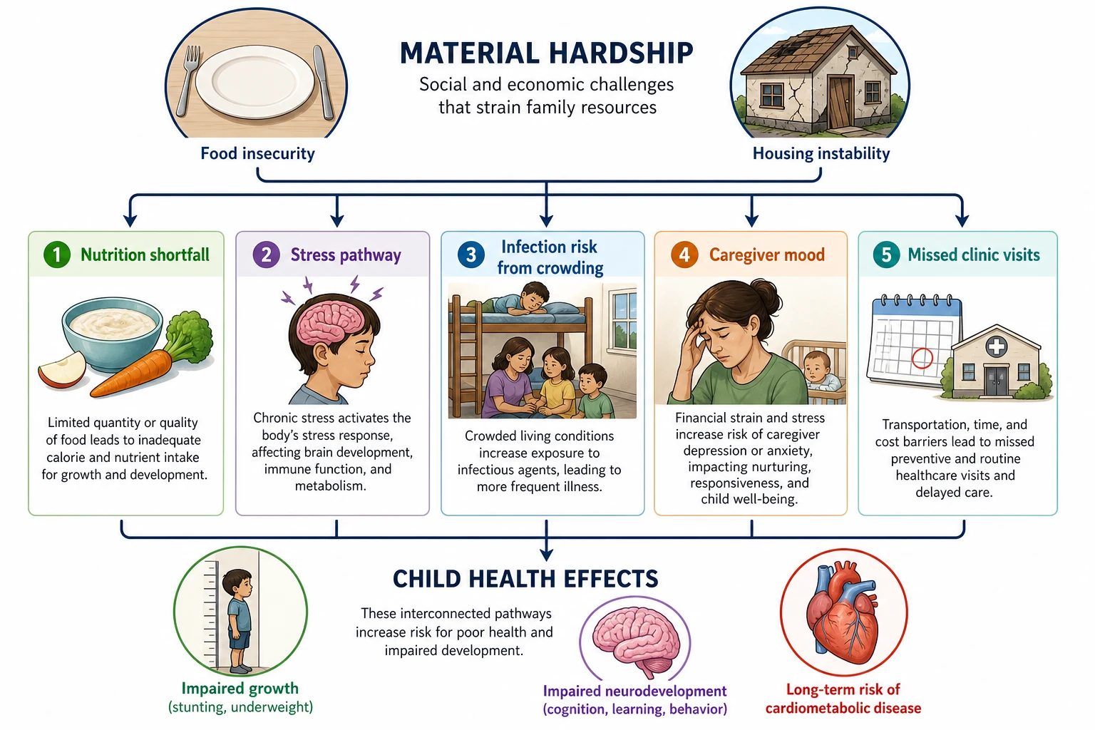 Five-pathway educational diagram linking food and housing hardship to nutrition, toxic stress, infection risk, caregiver mental health and disrupted healthcare access