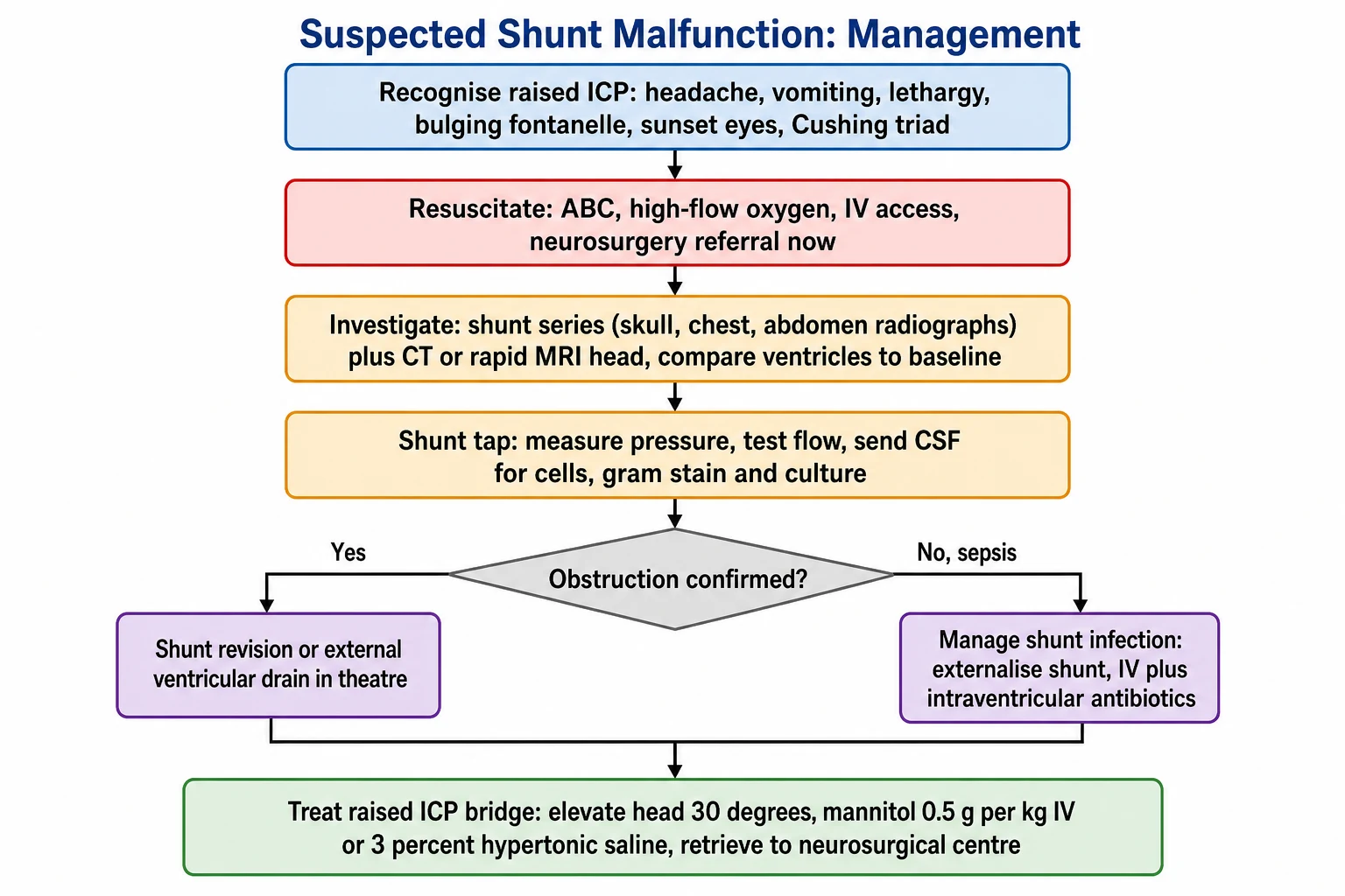 A clean medical flowchart on a white background titled Suspected Shunt Malfunction Management. It flows from recognising raised intracranial pressure signs, through resuscitation with ABC, high-flow oxygen, intravenous access, and neurosurgery referral, through investigation with the shunt series and CT or rapid MRI and the shunt tap, to a decision on obstruction confirmed leading to shunt revision or external ventricular drainage, or to managing shunt infection with externalisation and antibiotics, with a bottom box on the hyperosmolar bridge of head elevation, mannitol, and hypertonic saline.