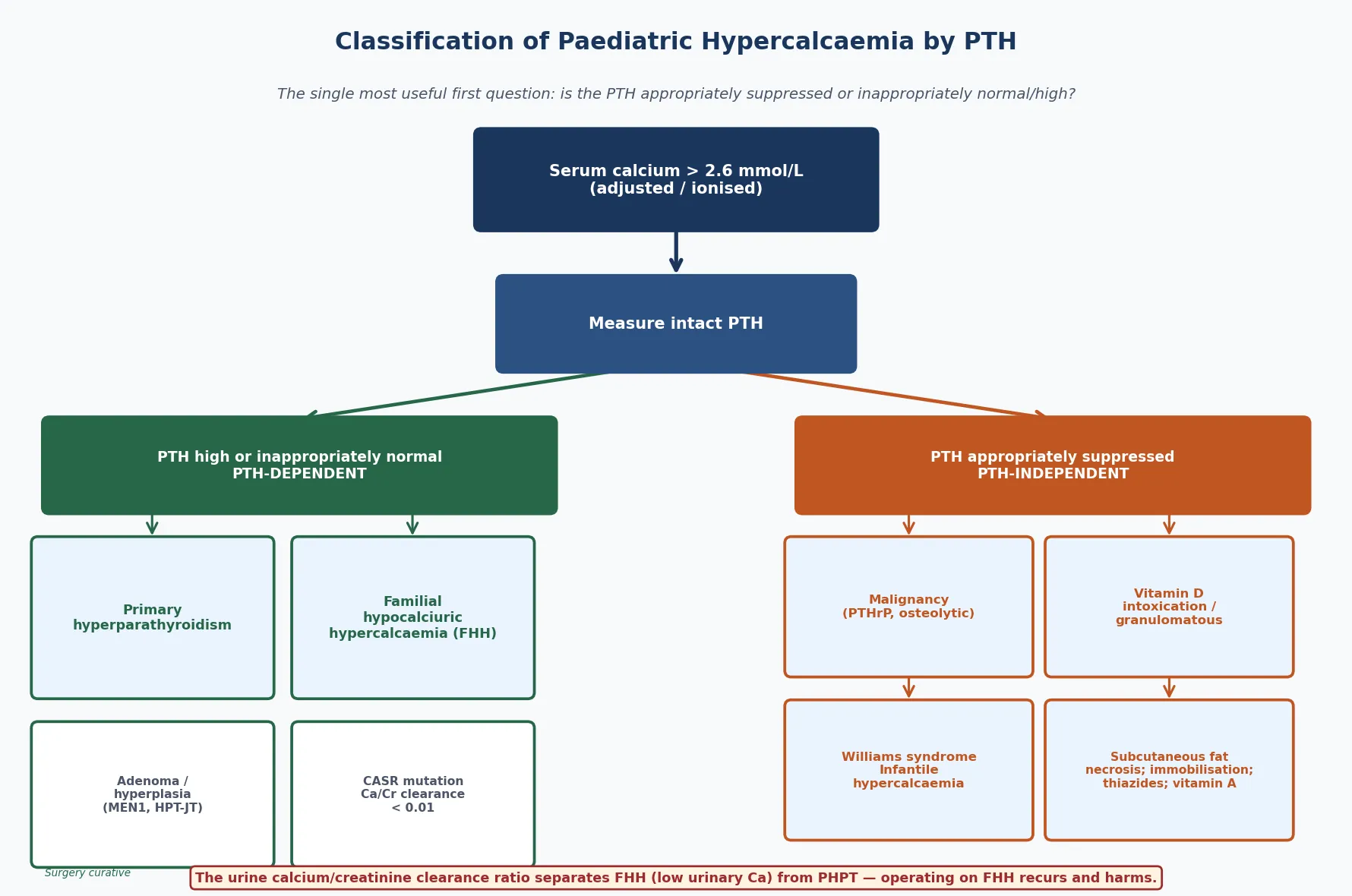 Classification tree of paediatric hypercalcaemia: after confirming a corrected calcium above the normal range, measure intact PTH, which splits the causes into PTH-dependent (primary hyperparathyroidism from adenoma or hyperplasia with MEN1 or HPT-JT, and familial hypocalciuric hypercalcaemia with a CASR mutation and a low urine calcium-to-creatinine clearance ratio that must not be operated on) and PTH-independent (malignancy with PTHrP or osteolytic bone disease, vitamin D intoxication or granulomatous disease, Williams syndrome and infantile hypercalcaemia, and subcutaneous fat necrosis, immobilisation, thiazides and vitamin A).