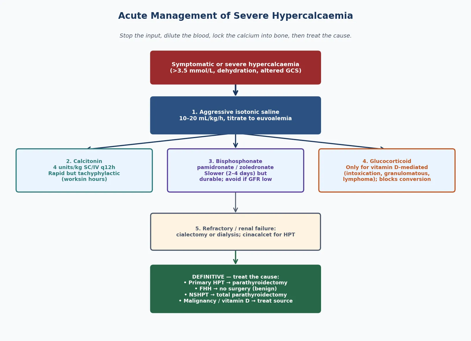 Stepwise acute management pathway for severe or symptomatic hypercalcaemia: step one is aggressive isotonic saline titrated to euvolaemia; step two is calcitonin subcutaneously or intravenously for rapid but transient effect; step three is a bisphosphonate such as pamidronate or zoledronic acid for a slower but durable response, avoided in low GFR; step four is glucocorticoid only for vitamin D-mediated causes; step five for refractory or renal failure is cinacalcet or dialysis; the definitive step is treating the cause — parathyroidectomy for primary hyperparathyroidism, no surgery for FHH, total parathyroidectomy for neonatal severe hyperparathyroidism.
