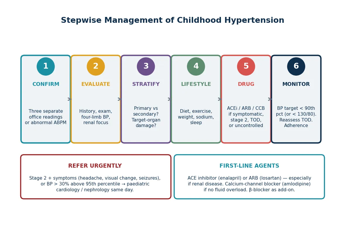 Stepwise management pathway from confirmation through evaluation, stratification, lifestyle measures, drug therapy and monitoring.