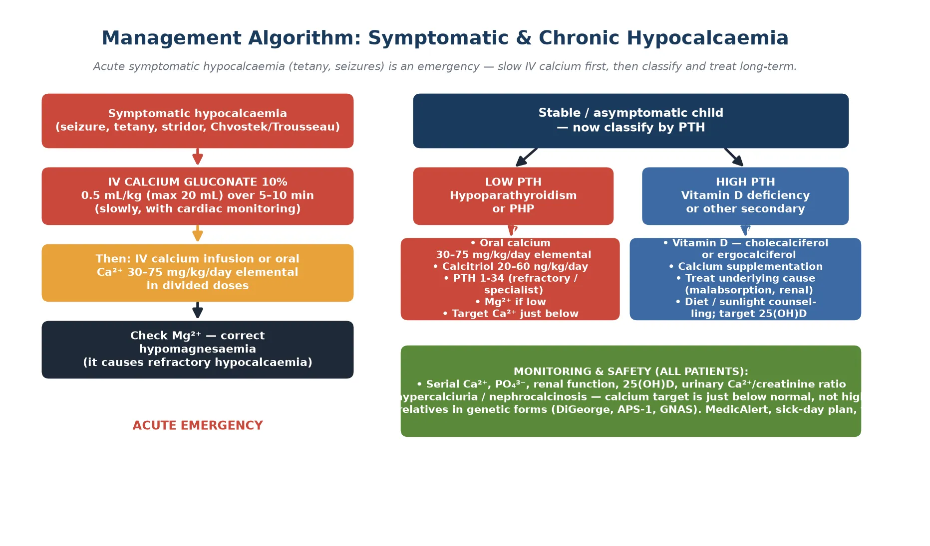 Management algorithm with two pathways. Left emergency pathway: symptomatic hypocalcaemia (seizure tetany stridor Chvostek or Trousseau) leads to intravenous calcium gluconate 0.5 mL per kg max 20 mL over 5 to 10 minutes with cardiac monitoring, then oral or IV maintenance calcium, then check and correct magnesium. Right chronic pathway: stable child classified by PTH; low PTH gets oral calcium 30 to 75 mg per kg per day elemental plus calcitriol plus PTH 1-34 for refractory cases; high PTH gets vitamin D (cholecalciferol or ergocalciferol) plus calcium and underlying cause treatment. Bottom monitoring box: serial calcium phosphate renal function 25-hydroxyvitamin D urinary calcium-to-creatinine ratio, avoid hypercalciuria and nephrocalcinosis, screen relatives in genetic forms, MedicAlert and sick-day plan.