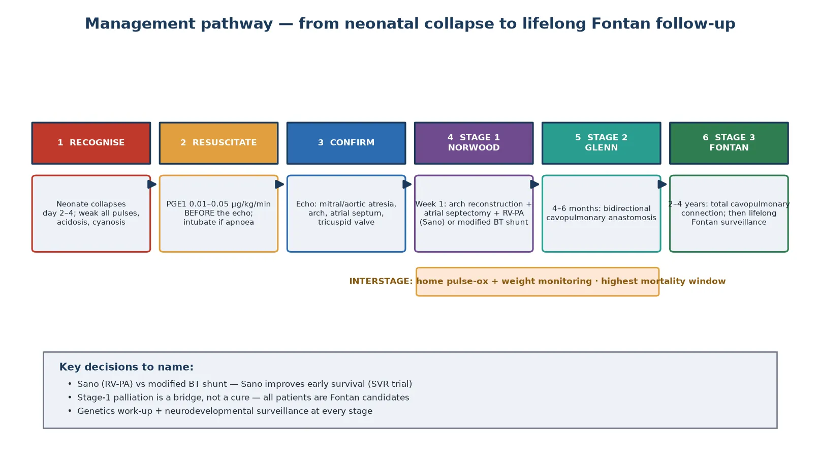 Six-step management pathway from recognition to lifelong follow-up. Step one, recognise: neonate collapses on day two to four with weak all pulses, metabolic acidosis and cyanosis. Step two, resuscitate: prostaglandin E1 at 0.01 to 0.05 micrograms per kilogram per minute before the echocardiogram, intubate if apnoea occurs, correct the acidosis. Step three, confirm: echocardiography defines the mitral and aortic atresia, the arch, the atrial septum and the tricuspid valve. Step four, stage one Norwood in the first week: arch reconstruction, atrial septectomy and a right-ventricle-to-pulmonary-artery Sano conduit or modified Blalock-Taussig shunt. Step five, stage two bidirectional Glenn at four to six months: superior vena cava to pulmonary artery anastomosis. Step six, stage three Fontan at two to four years: total cavopulmonary connection, then lifelong Fontan surveillance. An interstage bar marks the highest-mortality window between the Norwood and Glenn where home pulse-oximetry and weight monitoring apply. Key decisions listed are Sano versus modified Blalock-Taussig shunt, that stage-one palliation is a bridge not a cure, and that genetics and neurodevelopmental surveillance apply at every stage.