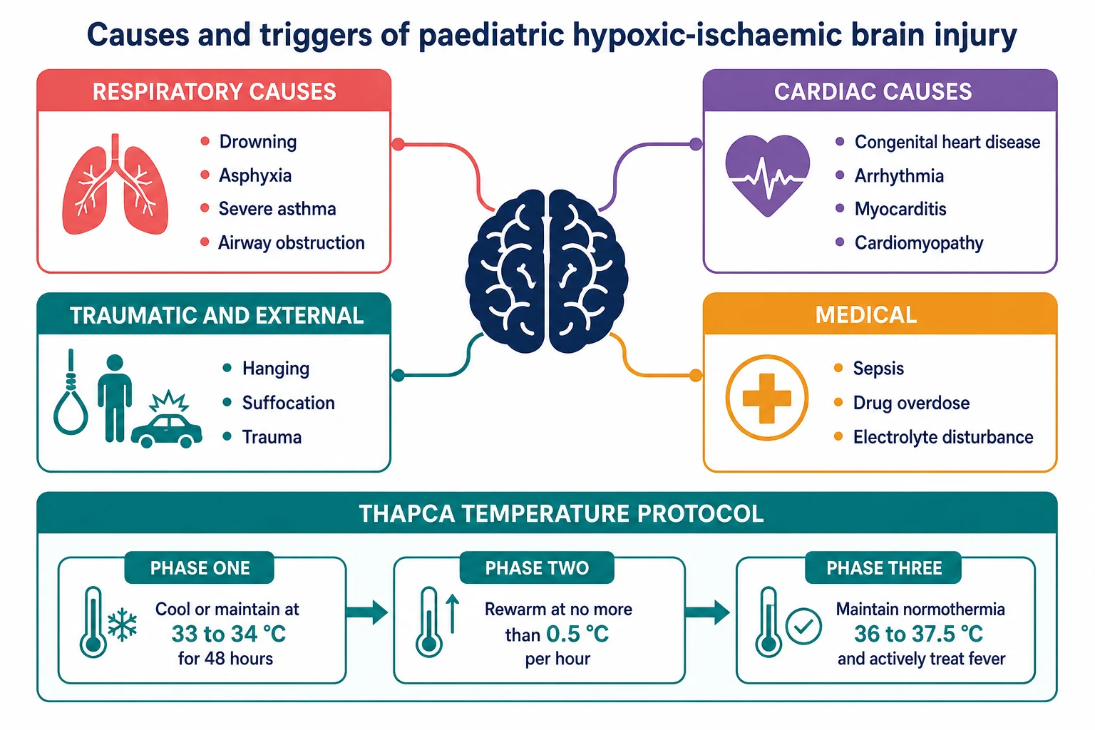 A clean scientific schematic on a white background showing the causes and the temperature protocol for paediatric hypoxic-ischaemic brain injury. A central brain node branches into four colour-coded cause panels: respiratory causes in coral listing drowning, asphyxia, severe asthma and airway obstruction; cardiac causes in purple listing congenital heart disease, arrhythmia, myocarditis and cardiomyopathy; traumatic and external causes in teal listing hanging, suffocation and trauma; and medical causes in amber listing sepsis, drug overdose and electrolyte disturbance. A horizontal teal bar across the lower third shows the targeted temperature management protocol as three connected phases: cool or maintain at 33 to 34 degrees Celsius for 48 hours, rewarm at no more than 0.5 degrees per hour, then maintain normothermia at 36 to 37.5 degrees and actively treat fever.