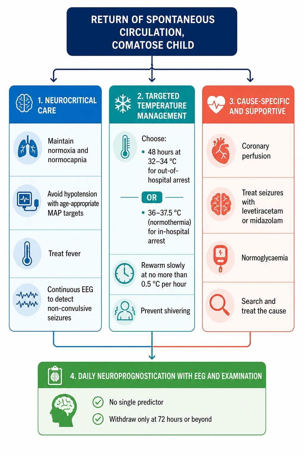 A clean medical-education management flowchart on a white background showing the post-arrest pathway as a top-down cascade. A navy box at the top reads return of spontaneous circulation in a comatose child. Three parallel lanes follow: a blue neurocritical care lane listing maintain normoxia and normocapnia, avoid hypotension with age-appropriate mean arterial pressure targets, treat fever, and continuous EEG to detect non-convulsive seizures; a teal targeted temperature management lane listing 48 hours at 32 to 34 degrees Celsius for out-of-hospital arrest or 36 to 37.5 degrees normothermia for in-hospital arrest, rewarm at no more than 0.5 degrees per hour, and prevent shivering; and a coral cause-specific lane listing treat seizures with levetiracetam or midazolam, maintain normoglycaemia, and search and treat the cause. A green box at the bottom reads daily neuroprognostication with EEG and examination, no single predictor, and decisions at 72 hours or beyond.