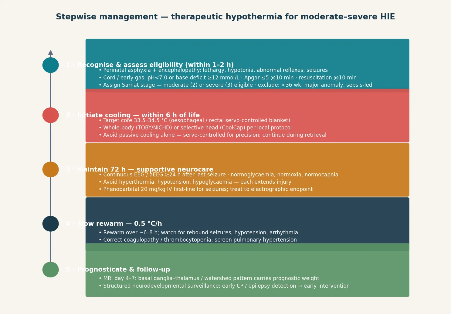 Stepwise cooling protocol from recognition and eligibility assessment through initiation within 6 hours, 72-hour maintenance with supportive neurocare, slow rewarming at 0.5 °C per hour, and MRI-based prognostication with neurodevelopmental follow-up