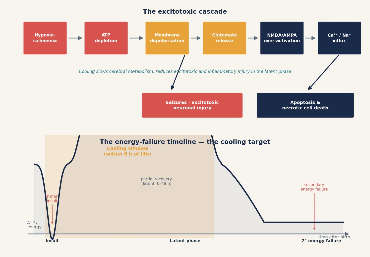 Energy-failure timeline showing the primary insult, the latent phase partial recovery, and secondary energy failure, with the cooling window marked within 6 hours; below, the excitotoxic cascade from hypoxia-ischaemia through ATP depletion, glutamate release, and calcium influx to neuronal death