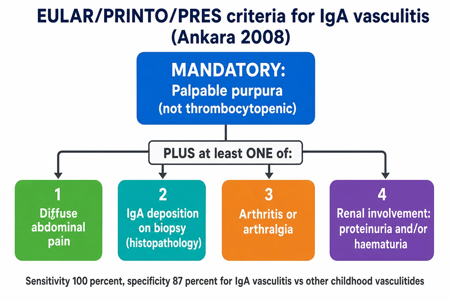 A clean medical-education classification diagram on a white background titled EULAR PRINTO PRES criteria for IgA vasculitis Ankara 2008. A central blue box reads Mandatory palpable purpura not thrombocytopenic. Below it a connector reads Plus at least one of. Four colour-coded boxes branch out: green Diffuse abdominal pain, teal IgA deposition on biopsy histopathology, orange Arthritis or arthralgia, purple Renal involvement proteinuria and or haematuria. A footnote reads sensitivity 100 percent specificity 87 percent.