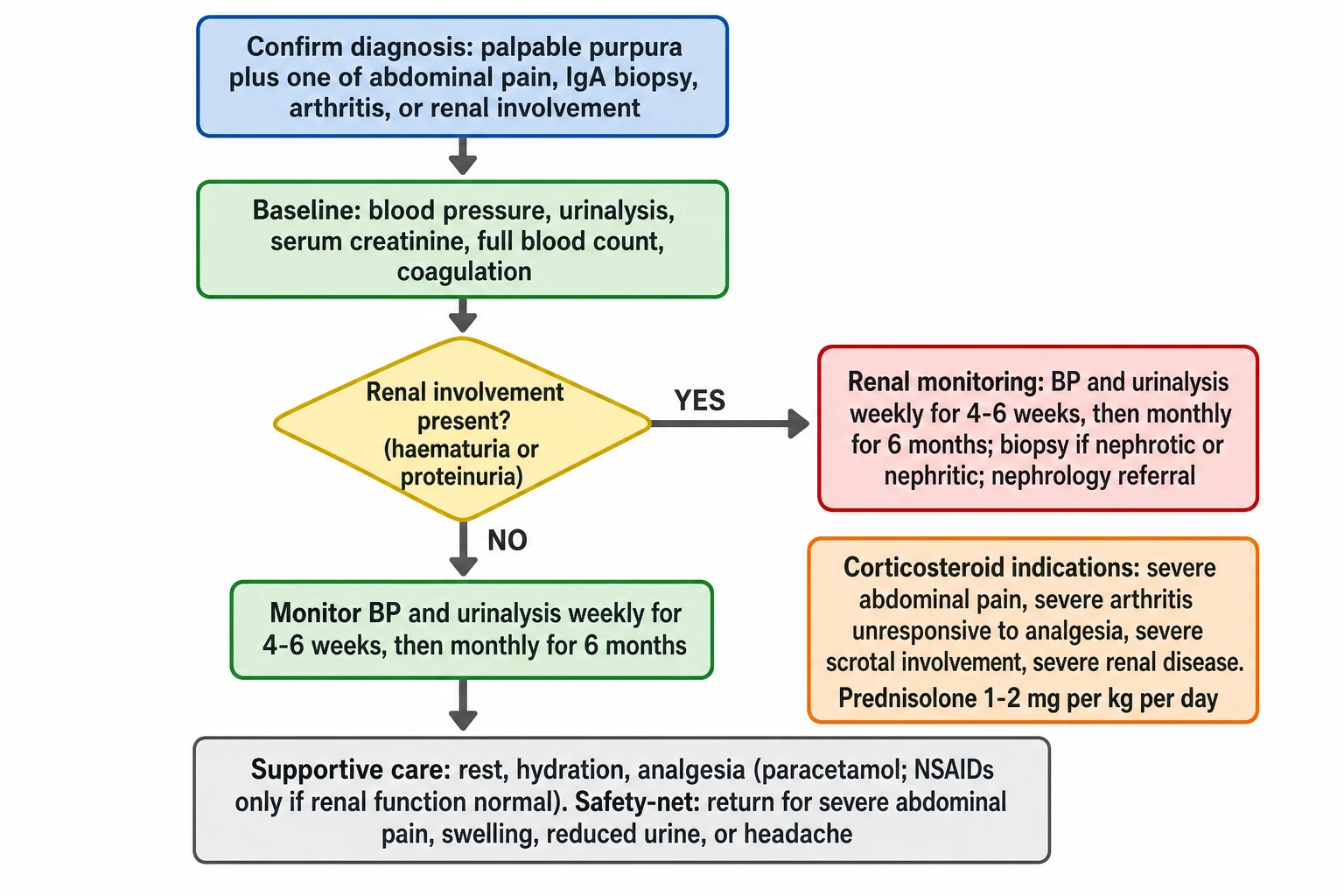 A clean medical-education management flowchart on a white background for IgA vasculitis in a child. A blue start box reads Confirm diagnosis palpable purpura plus one of abdominal pain IgA biopsy arthritis or renal involvement. A green box reads Baseline blood pressure urinalysis serum creatinine full blood count coagulation. A yellow decision diamond reads Renal involvement present haematuria or proteinuria. The YES branch flows to a red box with renal monitoring blood pressure and urinalysis weekly for 4 to 6 weeks then monthly for 6 months biopsy if nephrotic or nephritic nephrology referral. The NO branch flows to a green box with monitoring blood pressure and urinalysis weekly for 4 to 6 weeks then monthly for 6 months. An orange box on the right reads Corticosteroid indications severe abdominal pain severe arthritis severe scrotal involvement severe renal disease prednisolone 1 to 2 mg per kg per day. A grey box at the bottom reads Supportive care rest hydration analgesia paracetamol NSAIDs only if renal function normal safety-net return for severe abdominal pain reduced urine swelling headache.