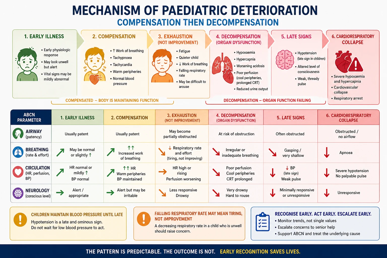 Educational flow diagram of paediatric compensation then decompensation across airway, breathing, circulation and neurology, with callouts that blood pressure is preserved late and a falling respiratory rate may mean exhaustion