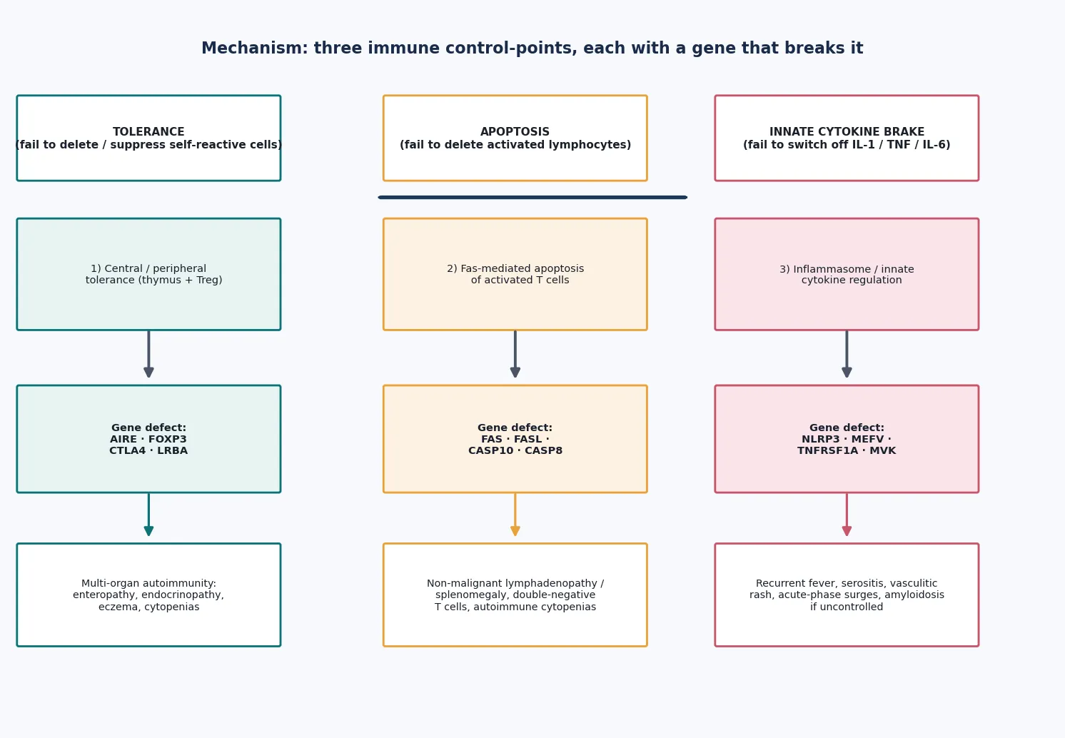 Three immune control-points shown as columns — tolerance, apoptosis, innate cytokine brake — each with its gene defect and its clinical consequence, explaining why each mechanism has a predictable signature