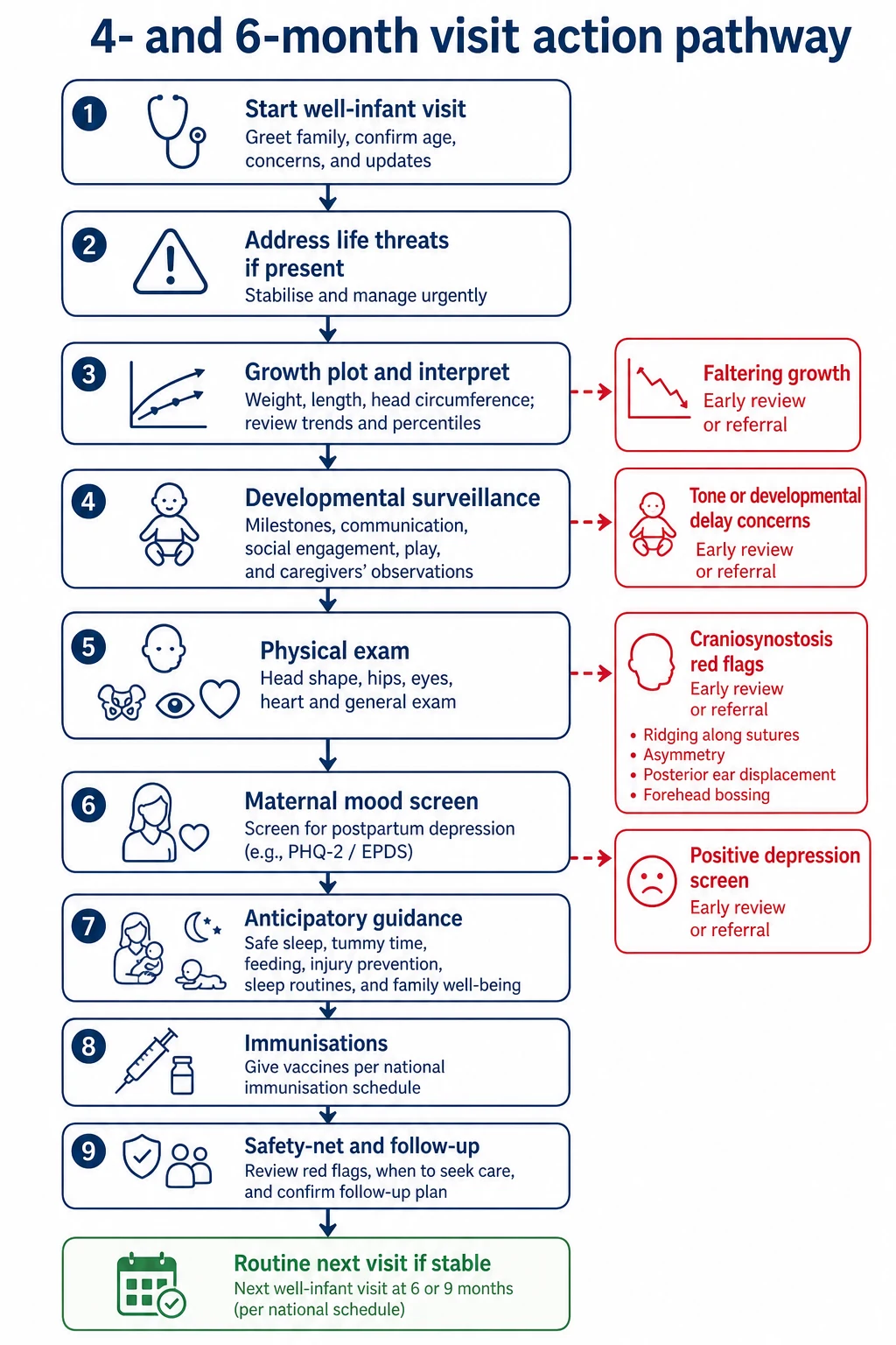 Stepwise management algorithm for the 4- and 6-month well-infant visit including red-flag branches for growth, tone, depression screen and head-shape concerns