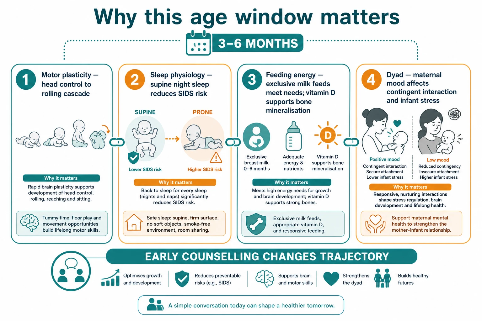 Mechanism map linking motor plasticity, safe sleep physiology, milk feeding and vitamin D, and caregiver-infant interaction at 3 to 6 months