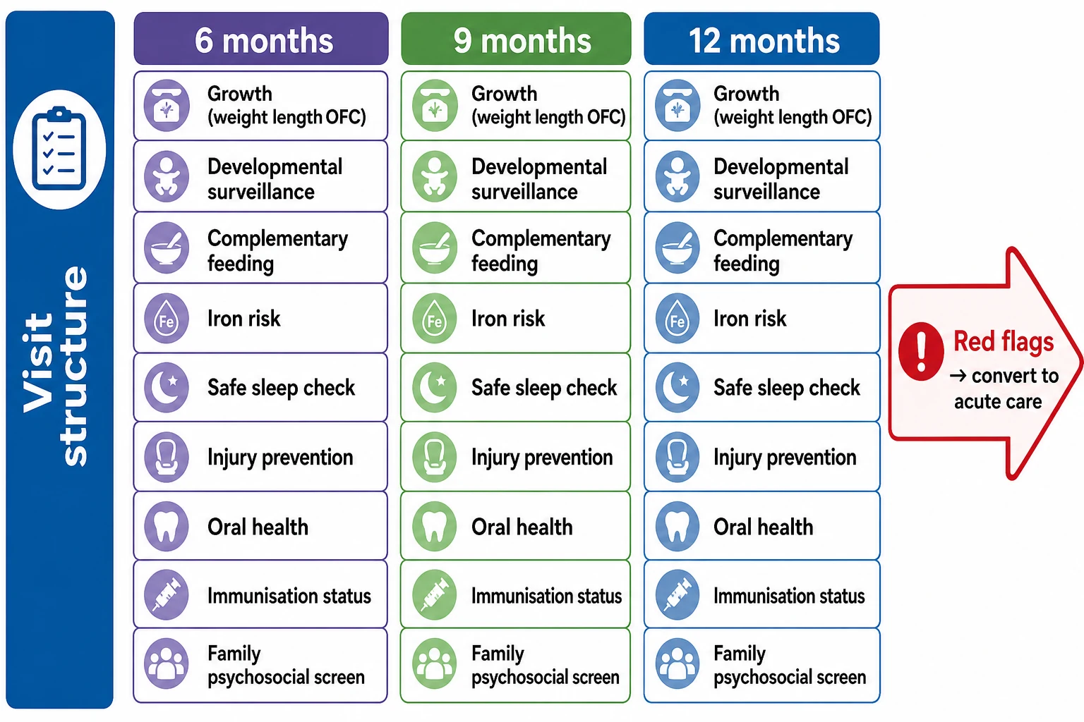 Educational schematic showing 6-, 9- and 12-month visit columns with growth, development, feeding, iron, sleep, injury, oral health and psychosocial checklist domains and a red-flag conversion path