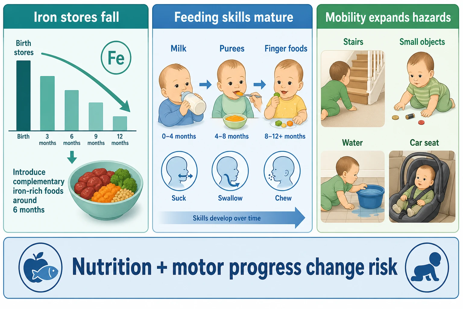 Mechanism schematic linking falling iron stores, complementary feeding skill maturation and expanding mobility hazards between 6 and 12 months