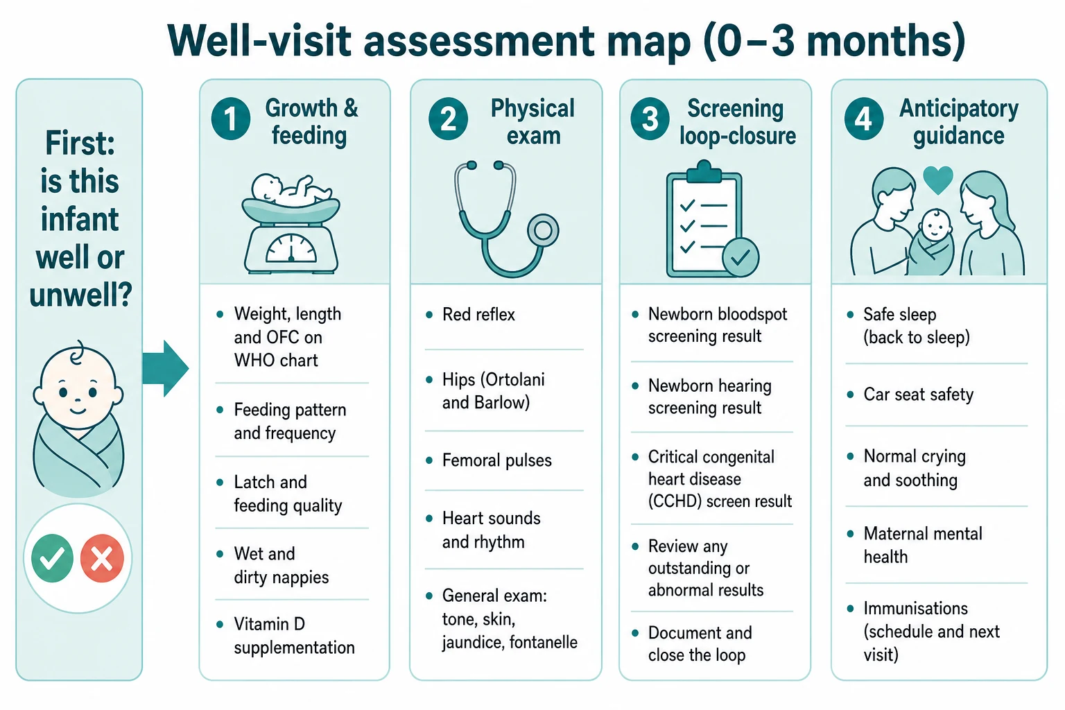 Four-column well-visit assessment map covering growth and feeding, physical exam, screening loop-closure and anticipatory guidance