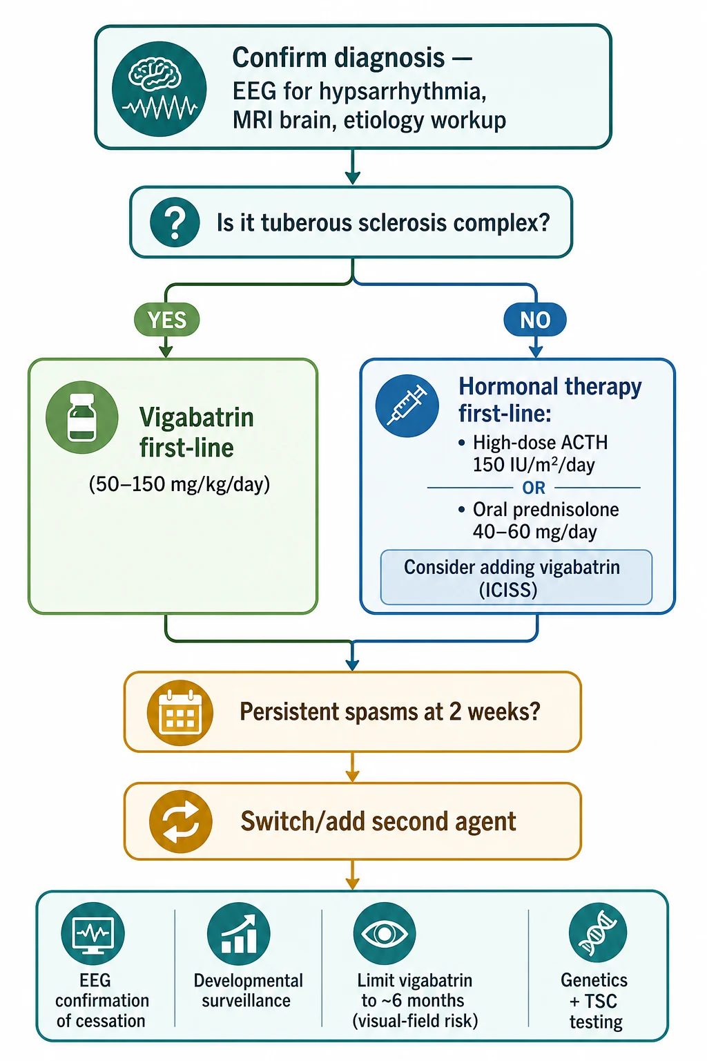 Stepwise management algorithm: top box confirms diagnosis with EEG for hypsarrhythmia, MRI brain and aetiology workup; a decision fork asks is it tuberous sclerosis complex, with the YES branch leading to vigabatrin first-line at 50 to 150 mg per kg per day and the NO branch leading to hormonal therapy first-line of high-dose ACTH 150 IU per square metre per day OR oral prednisolone 40 to 60 mg per day, with consideration of adding vigabatrin based on ICISS; the next step asks if spasms persist at 2 weeks and if so switch or add the second agent; the bottom box covers EEG confirmation of cessation, developmental surveillance, limiting vigabatrin to around 6 months for visual-field risk, and genetics plus TSC testing