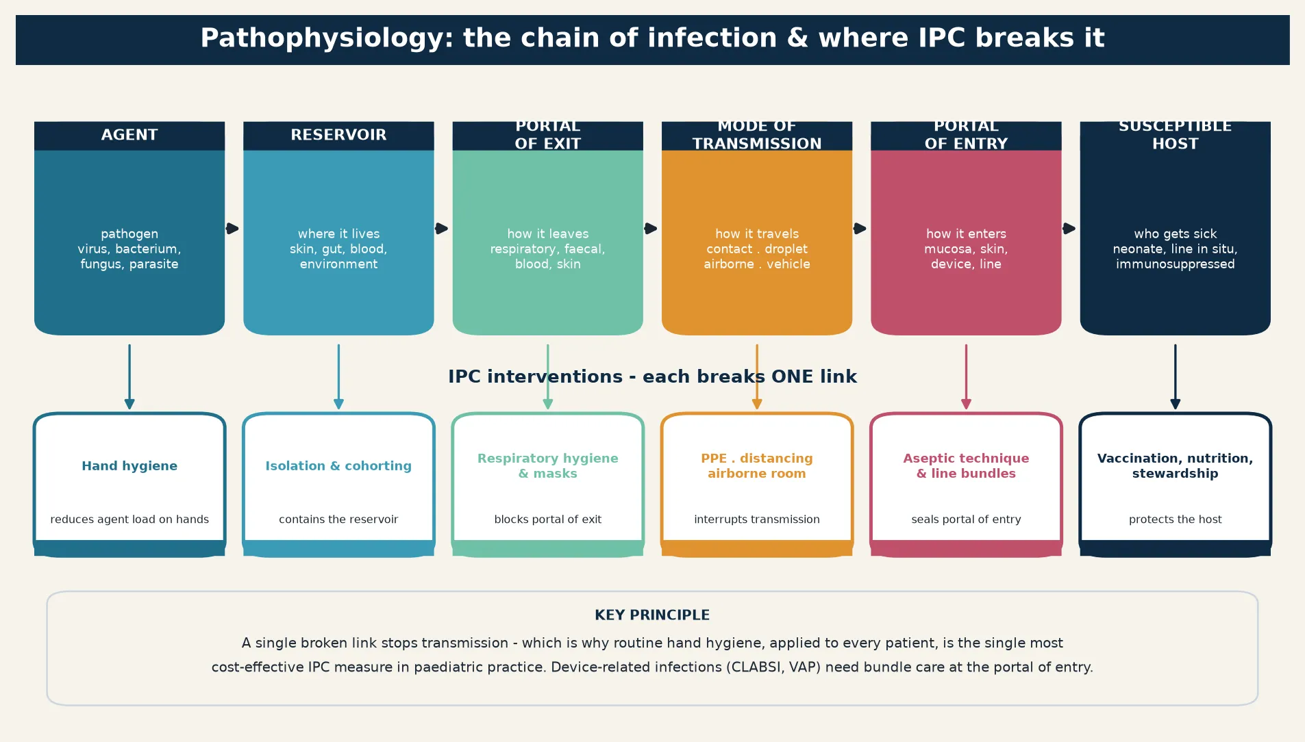 Horizontal chain of six links — infectious agent, reservoir, portal of exit, mode of transmission, portal of entry, susceptible host — each shown as a coloured panel, with arrows linking them; beneath each link a corresponding IPC intervention that breaks it (hand hygiene, isolation and cohorting, respiratory hygiene and masks, PPE and distancing and airborne rooms, aseptic technique and line bundles, vaccination and nutrition and stewardship)