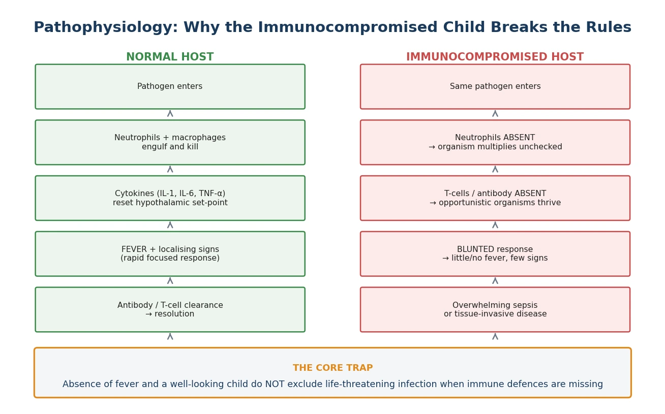 Two-column comparison of the normal host immune cascade versus the blunted response in the immunocompromised host