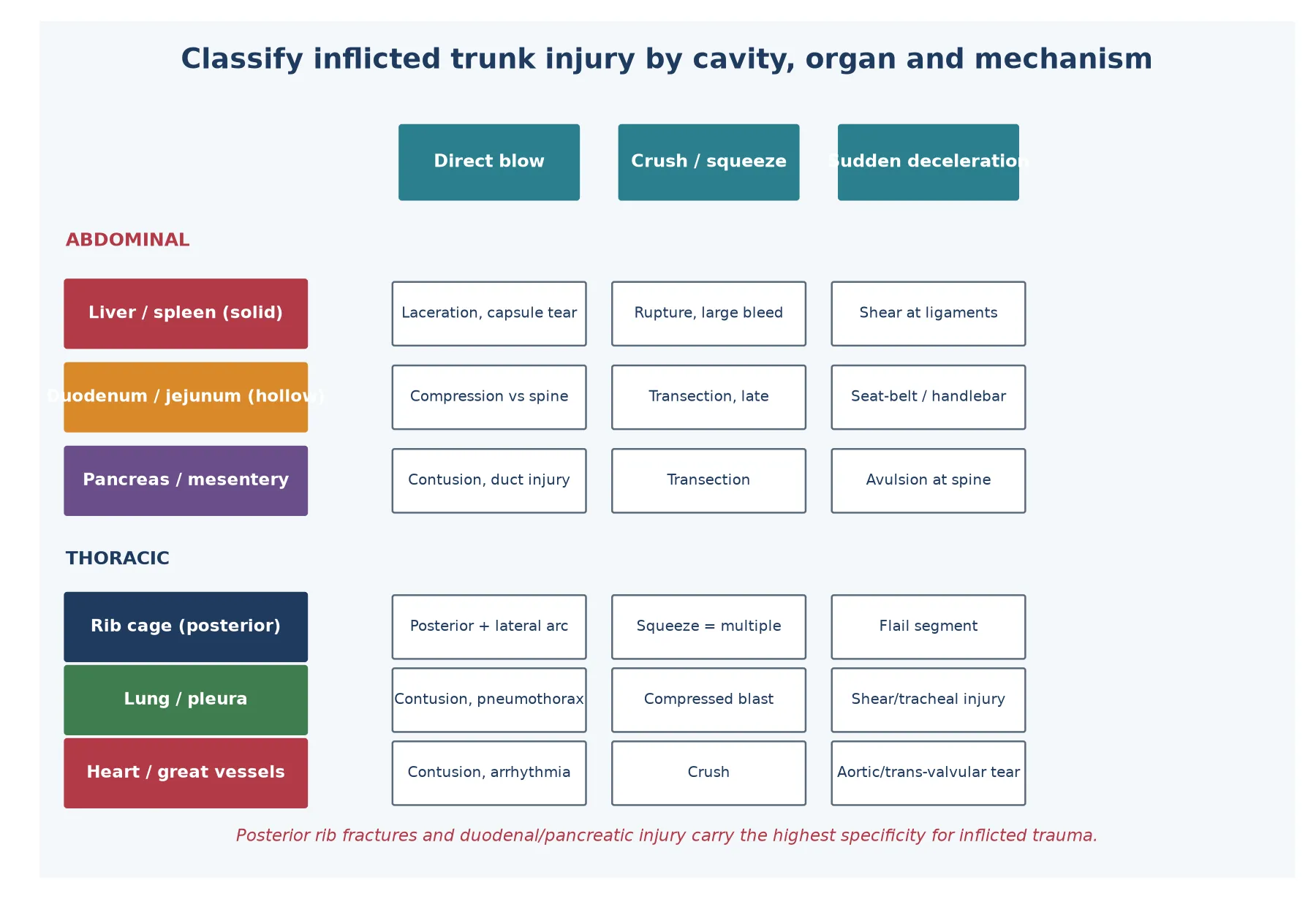 Educational schematic classifying inflicted trunk injury by cavity (abdominal, thoracic), organ and mechanism (direct blow, crush, sudden deceleration) with specificity callouts
