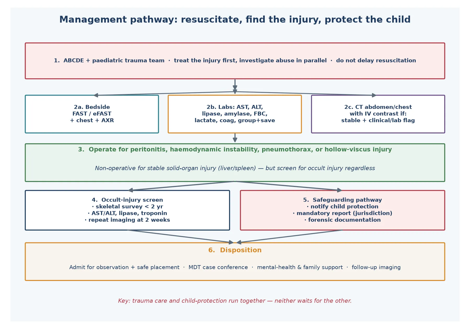 Educational algorithm for managing inflicted trunk injury from resuscitation through imaging, occult-injury screen, safeguarding and disposition