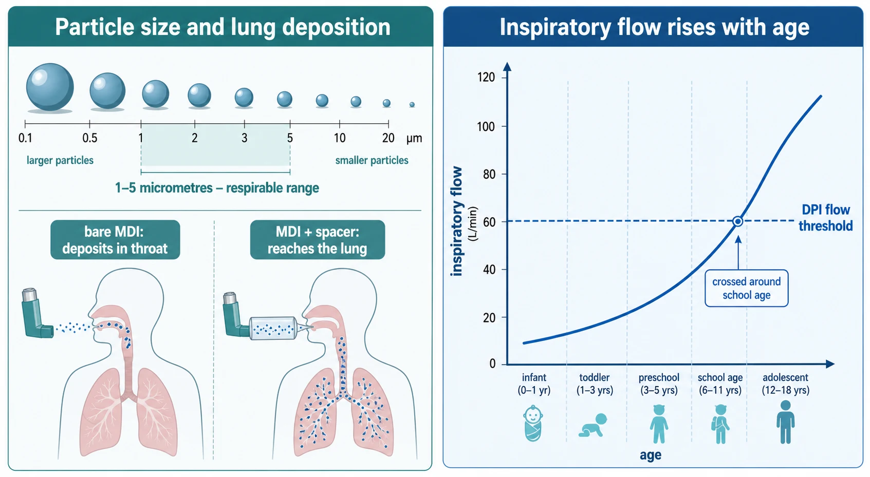 Educational schematic in two panels: left panel showing aerosol particle-size distribution with the one to five micrometre respirable band marked, and oropharyngeal deposition of a bare pressurised metered-dose inhaler versus lung deposition through a spacer; right panel showing how tidal volume and inspiratory flow rise with age from infant to adolescent, with the dry-powder inhaler flow threshold marked