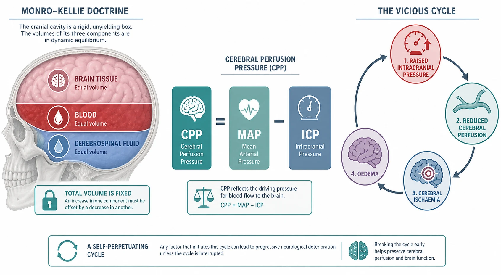 Reviewed educational schematic of the Monro-Kellie doctrine showing the skull as a rigid box containing brain tissue, blood and cerebrospinal fluid, with the equation cerebral perfusion pressure equals mean arterial pressure minus intracranial pressure, and a vicious cycle showing raised ICP reducing cerebral perfusion causing ischaemia and oedema which feeds back to raise ICP further