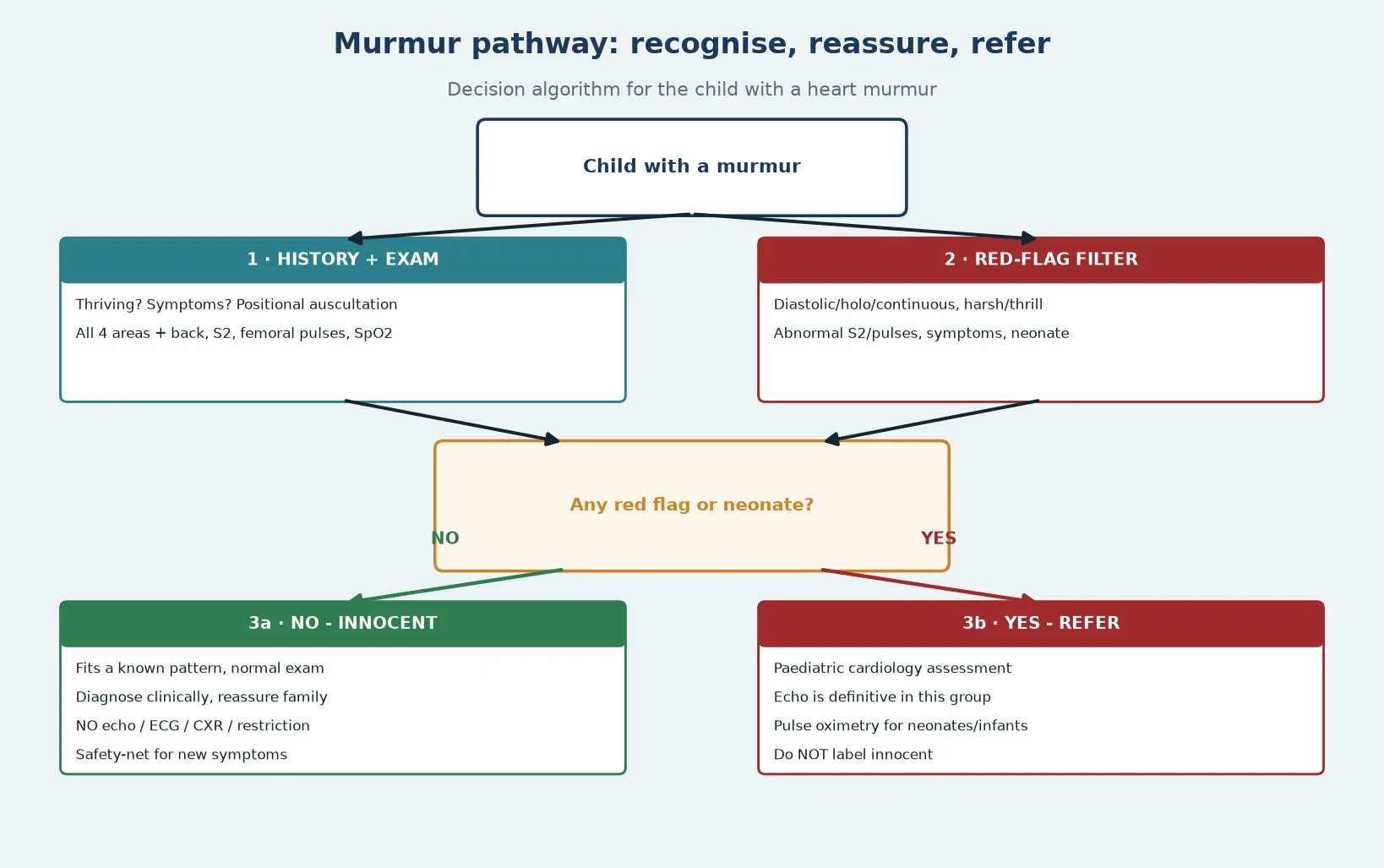 Decision algorithm for the child with a heart murmur