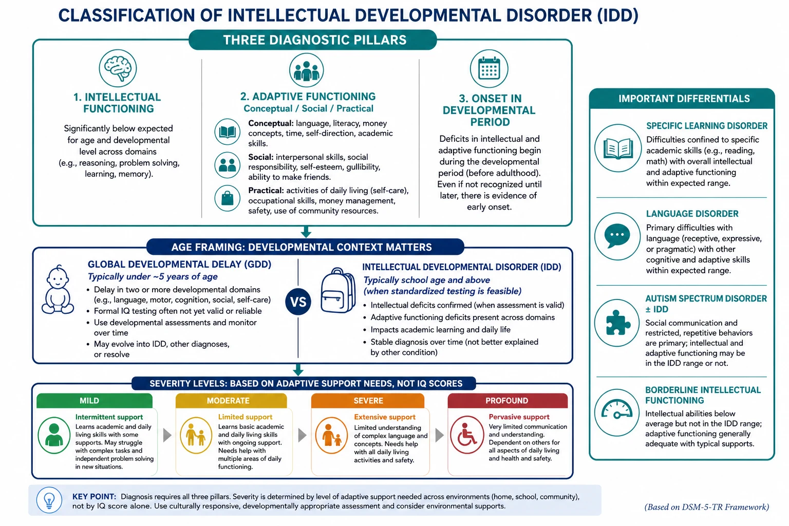Educational classification map of IDD diagnostic pillars, GDD versus IDD age framing, adaptive severity bands and key differentials