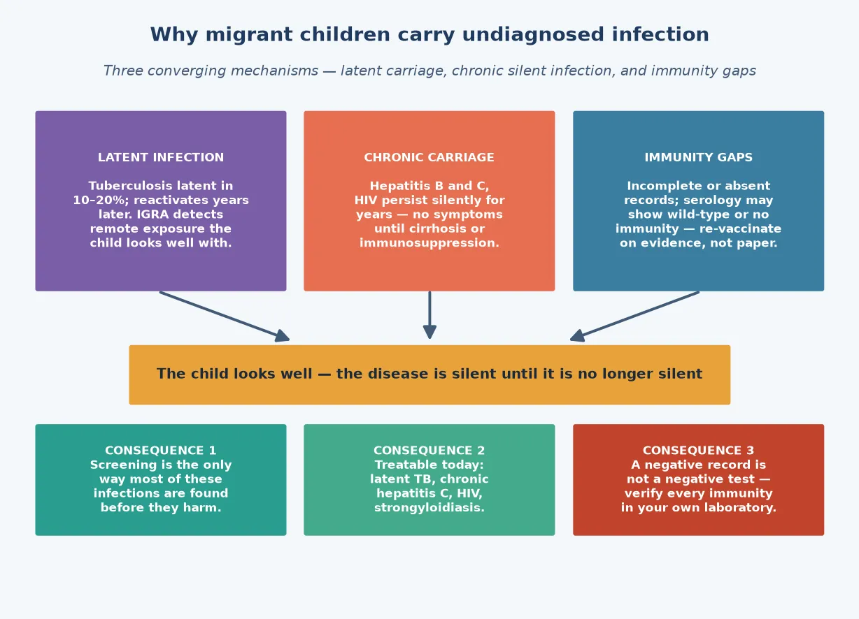 Three mechanisms by which migrant children carry undiagnosed infection — latent, chronic and immunity-gap