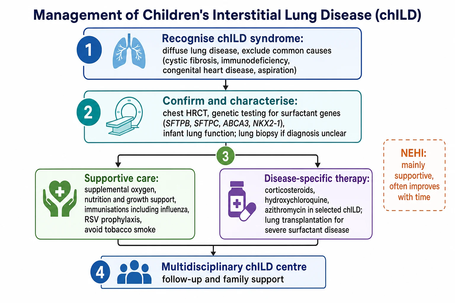 Stepwise management algorithm for children's interstitial lung disease: step one recognise the chILD syndrome and exclude common causes such as cystic fibrosis, immunodeficiency, congenital heart disease and aspiration; step two confirm and characterise with chest HRCT, genetic testing for surfactant genes SFTPB, SFTPC, ABCA3 and NKX2-1, infant lung function, and lung biopsy if the diagnosis is unclear; step three supportive care with supplemental oxygen, nutrition and growth support, immunisations including influenza, RSV prophylaxis and avoidance of tobacco smoke, alongside disease-specific therapy with corticosteroids, hydroxychloroquine, azithromycin in selected cases and lung transplantation for severe surfactant disease; step four multidisciplinary chILD centre follow-up and family support, noting that NEHI is mainly supportive and often improves with time