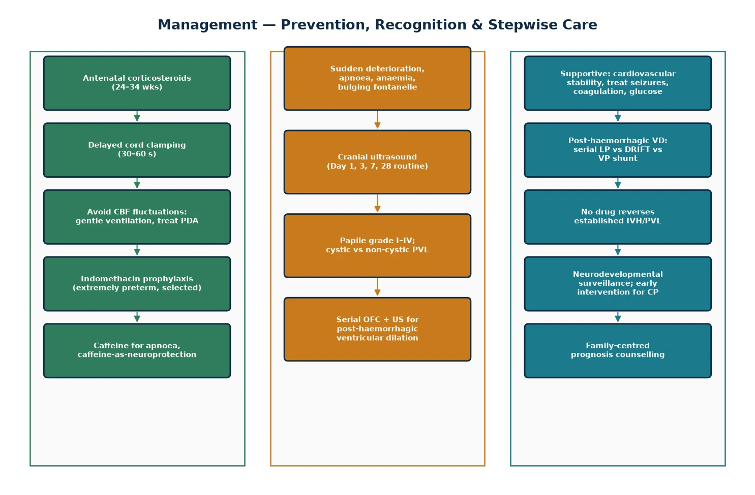 Stepwise management algorithm for IVH and PVL across three lanes: prevention, recognition and grading, and treatment with follow-up