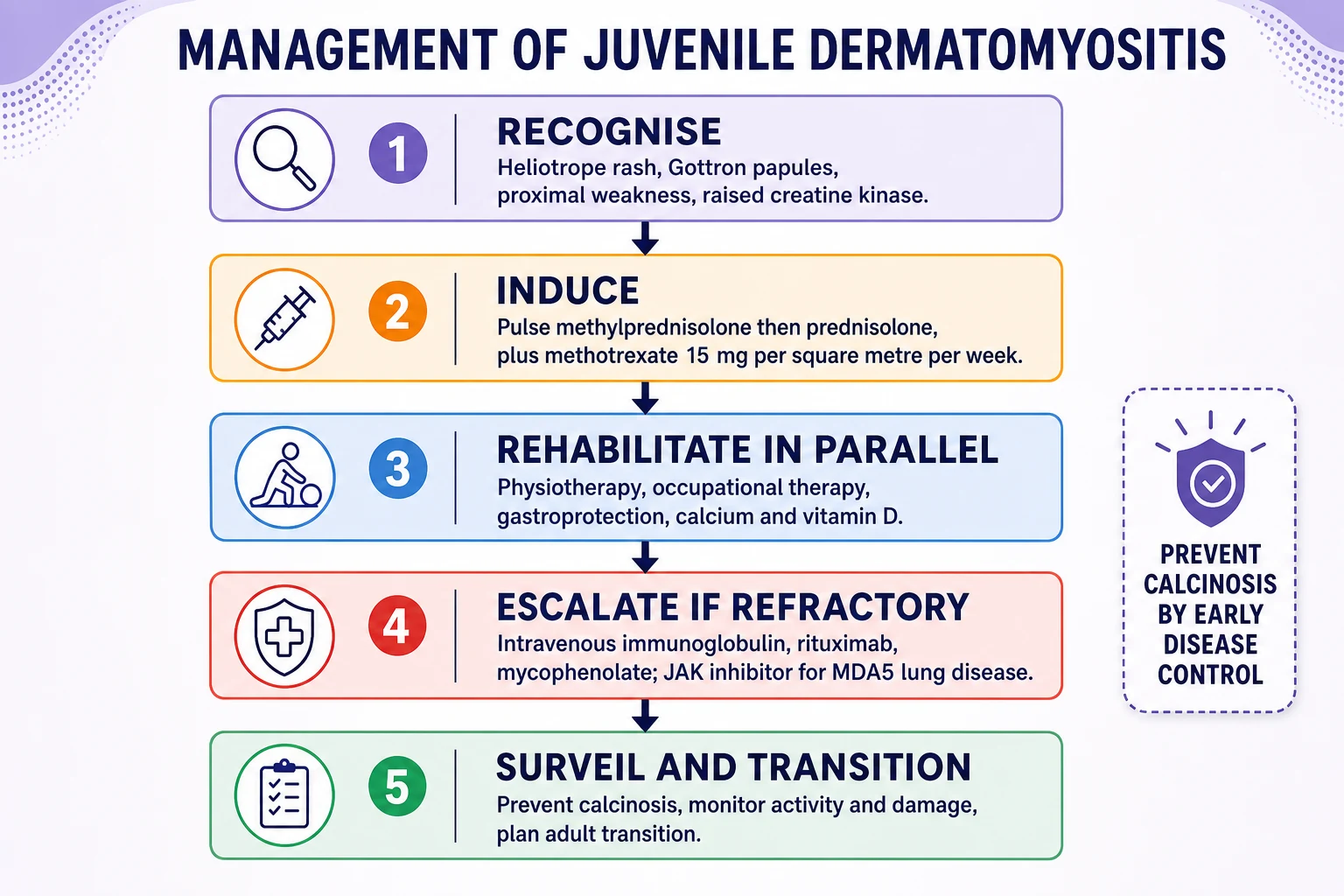 Educational algorithm for juvenile dermatomyositis showing induction with corticosteroids and methotrexate, escalation with intravenous immunoglobulin, rituximab and other agents, skin and calcinosis adjuncts, and multidisciplinary rehabilitation and surveillance through to transition