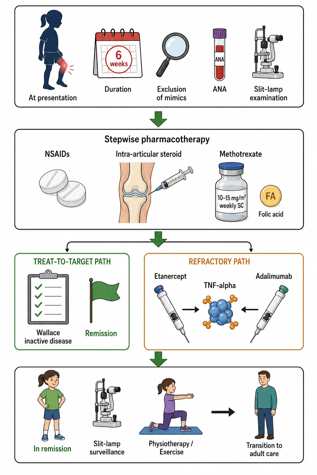 A clean medical flowchart on a white background flowing top to bottom in four tiers connected by green arrows. The top tier shows a child with a swollen joint at presentation with icons for the six-week confirmation, the exclusion of mimics, the antinuclear antibody and the baseline slit-lamp. The second tier shows the stepwise pharmacotherapy: non-steroidal anti-inflammatory drug tablets, an intra-articular steroid injection syringe into a knee, and a methotrexate vial with the weekly subcutaneous label. The third tier splits into two paths: a treat-to-target path in green shows the Wallace clinically inactive disease target with a checklist and a remission flag, and a refractory path in amber shows the etanercept and adalimumab biologic syringes targeting the tumour necrosis factor. The bottom tier shows a child in remission with a slit-lamp surveillance icon, a physiotherapy icon, and a transition-to-adult-care icon.