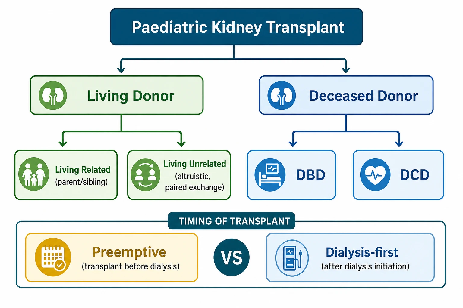 Classification diagram showing paediatric kidney transplant branching into living donor (green, subdivided into living related such as parent or sibling, and living unrelated such as altruistic and paired exchange) and deceased donor (blue, subdivided into donation after brain death DBD and donation after circulatory death DCD), with a separate timing band contrasting preemptive transplant before dialysis against dialysis-first after dialysis initiation.