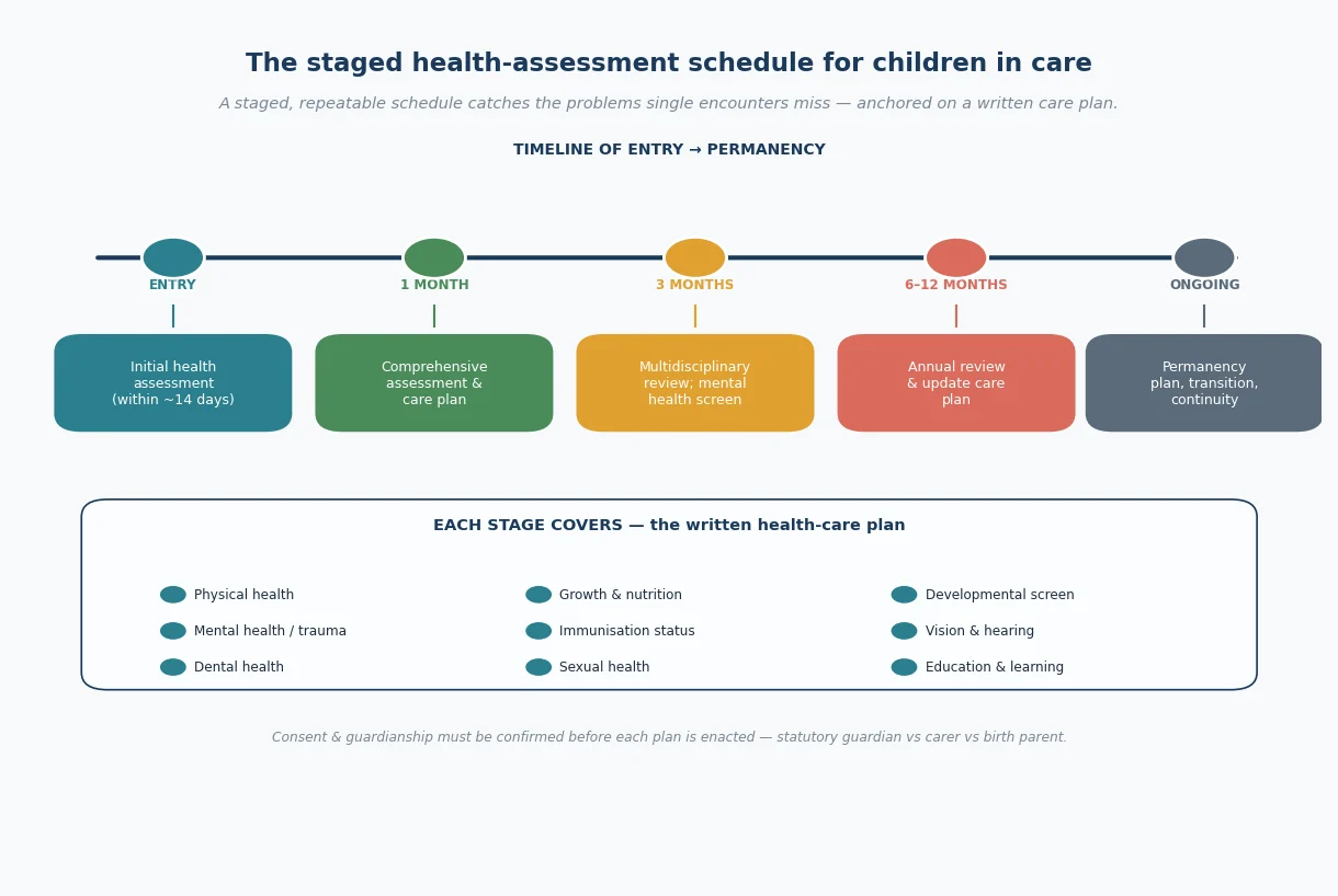 Timeline of the staged health-assessment schedule from entry through one-month comprehensive assessment, three-month multidisciplinary review, six-to-twelve-month annual review and ongoing permanency planning, with the eight care-plan domains listed beneath