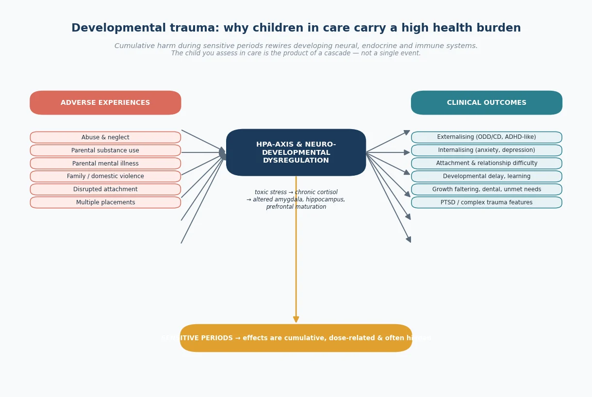 Developmental trauma cascade showing adverse experiences on the left driving HPA-axis and neurodevelopmental dysregulation in the centre, leading to externalising, internalising, attachment, developmental and PTSD outcomes on the right, with effects cumulative and dose-related across sensitive periods