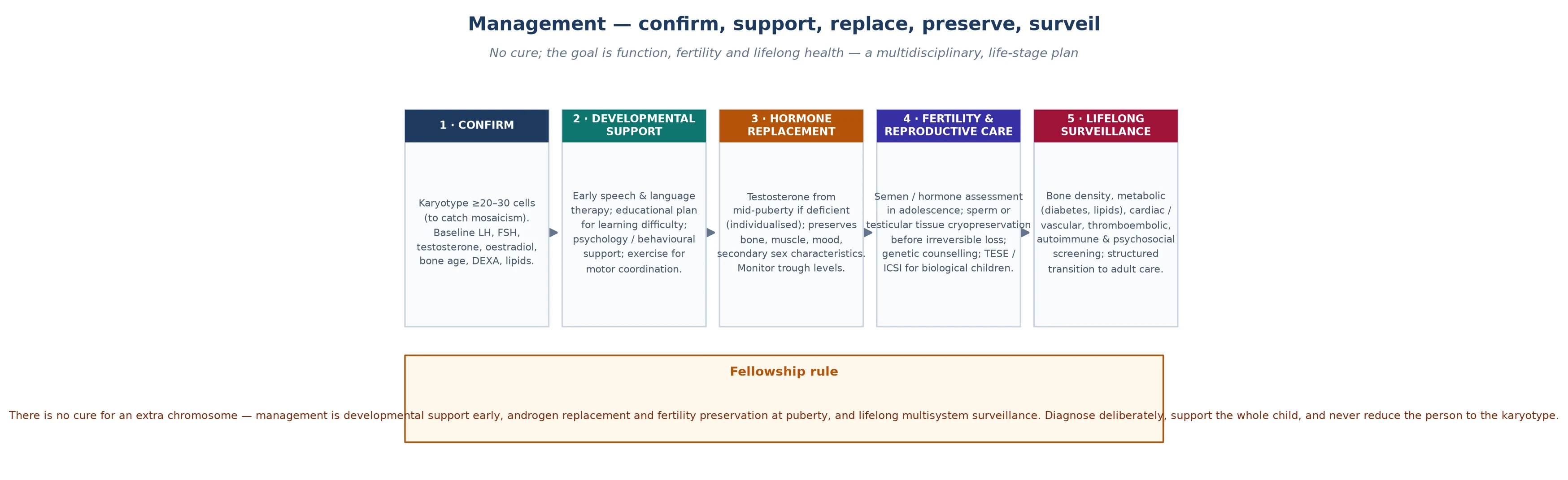 Five age-band columns — prenatal counselling, childhood, puberty, adolescence and transition, adulthood — each listing the surveillance and intervention items for that band, with a red footer naming two non-negotiables: testosterone adequacy and bone density monitoring
