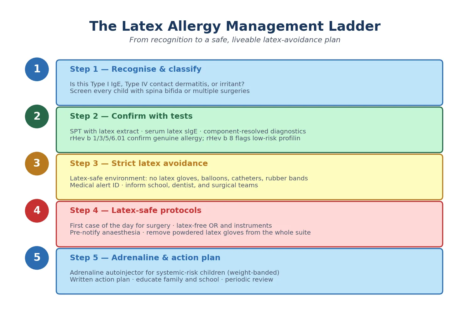 Vertical five-step management ladder from recognising and classifying through confirming with tests, strict latex avoidance, latex-safe protocols, and adrenaline with action plan