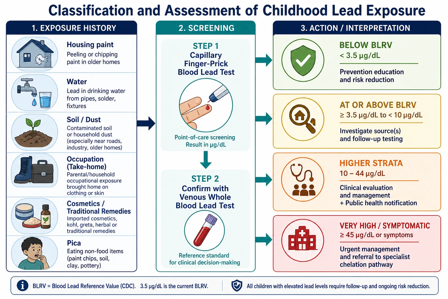 Educational flowchart from exposure history and capillary screening through venous confirmation to action bands by blood lead level